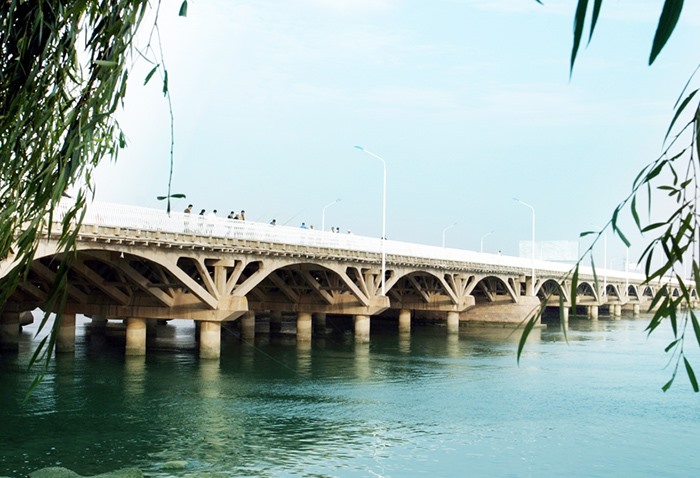 夹河桥绿化工程