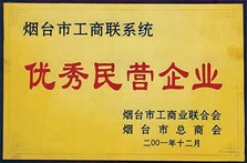 优秀民营企业
