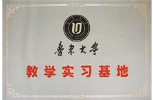 鲁东大学教学实习基地